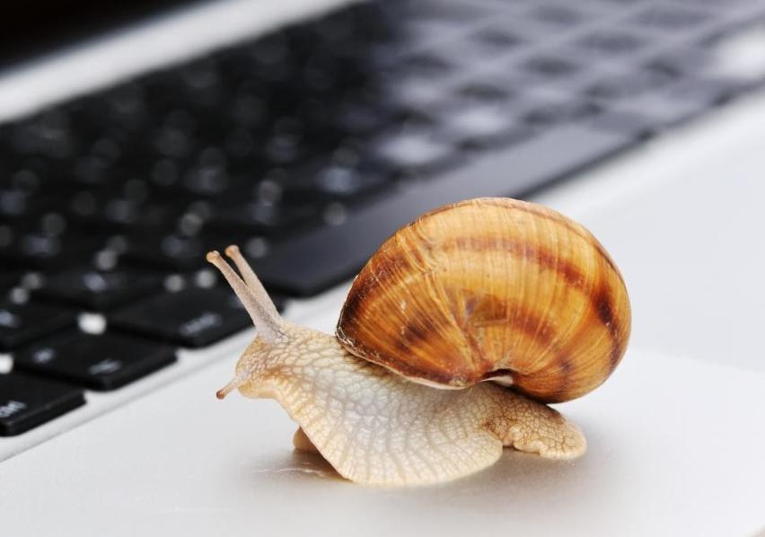 内蒙古市场监管局组织开展特殊食品经营环节专项检查